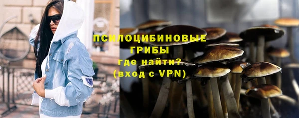 индика Алзамай